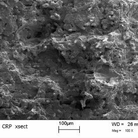 Dettaglio di una micrografia del Windform® XT. Courtesy Paramount Industries
